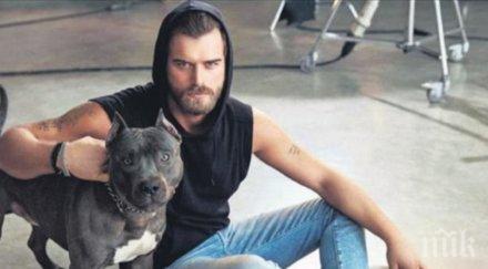 къванч татлъту нов бизнес