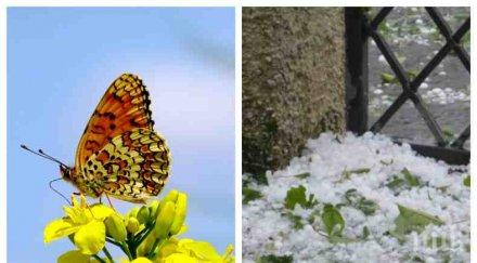 слънчева прогноза термометърът скача градуса петък север дебнат градушки