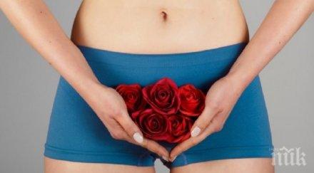 интимни тайни мита месечния цикъл