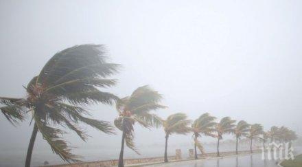 тропическата буря алберто отслабва наближаването флорида