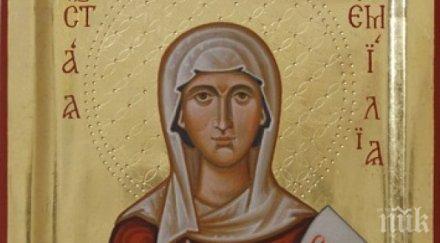 празнуваме света емилия почерпят всички