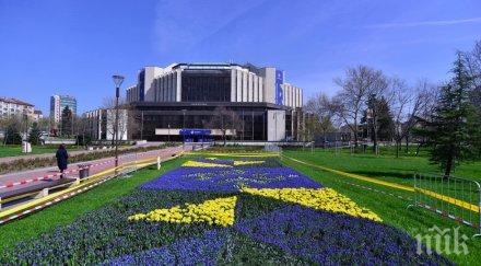 софия променят движението паркирането заради проекта жив килим български рози