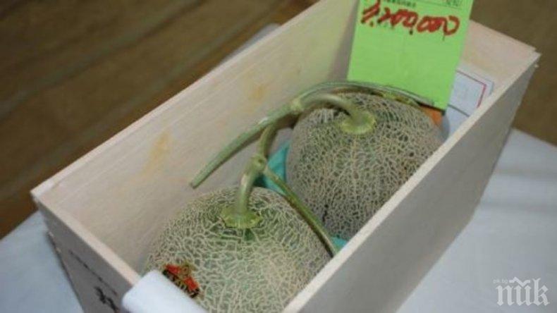 В Япония продадоха два пъпеша на търг за близо 30 хиляди долара