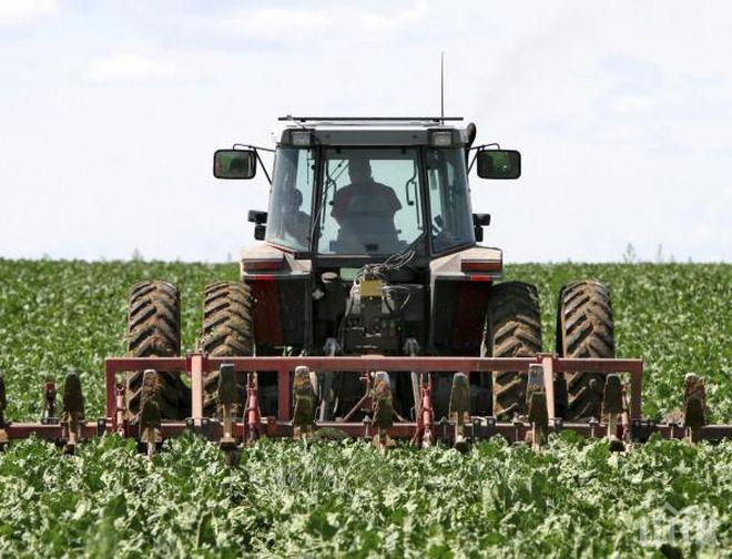 ДАННИ: 9% от стопанствата държат 85% от земеделската земя у нас