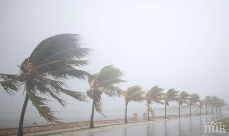 Тропическата буря „Алберто“ отслабва с наближаването на Флорида