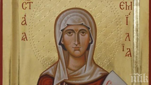 Днес празнуваме Света Емилия, да почерпят всички...
