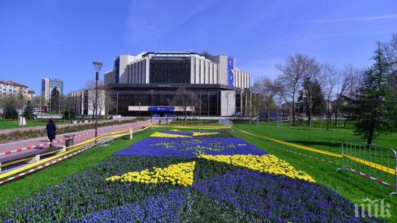 В СОФИЯ: Променят движението и паркирането заради проекта „Жив килим от български рози”