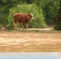 Порои и тежки наводнения връхлетяха Западна Европа