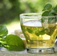 Зеленият чай предпазва от инфаркт и инсулт