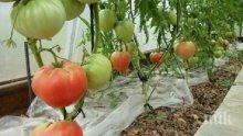 МЗХГ: Констатирани кражби на вода за напояване ще бъдат предавани на Прокуратурата