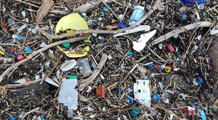 чистят райския залив созопол бразилски коктейл всеки