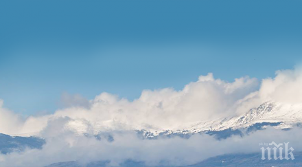 българия топ предпочитаните работодатели сред студентите нас