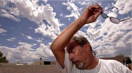 лятото идва страшни болести