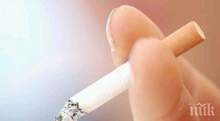 отбелязваме световния ден без тютюнопушене