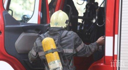 пожар изпепели ремарке камион перилни препарати пътя тополовград хармални снимки