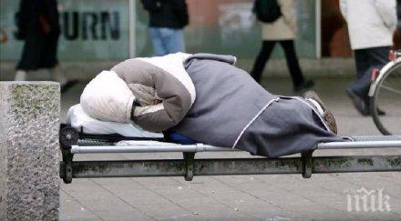 потресаващо българи мюнхен зле сме животните живеем кучета