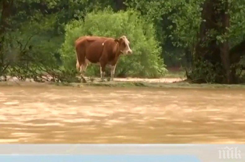 Порои и тежки наводнения връхлетяха Западна Европа