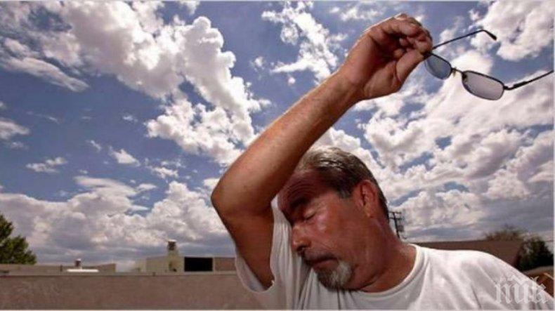 Лятото идва с 10 страшни болести