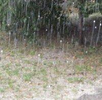 ЩЕТИ! Градушка с големината на орех унищожи насажденията в Карловско
