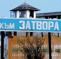 Дървеници налазиха осъден за убийство в затвора в Бобов дол, той иска иска 10 000 лева обезщетение 