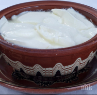 Трън стяга празник на киселото мляко