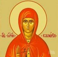 Почитаме Свети Теодот и Света мъченица Валерия