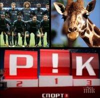 ЕКСКЛУЗИВНО В 