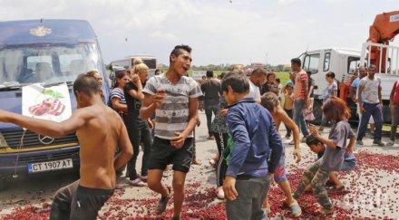 купища череши заляха тракия снимки