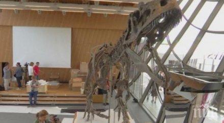 продаден скелет динозавър франция