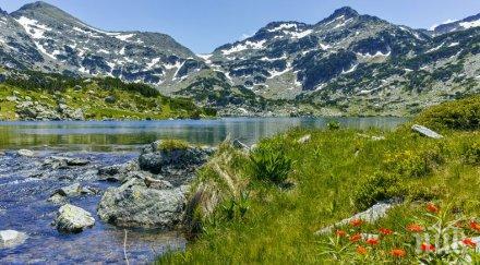 инициативи национален парк пирин повод световния ден околната среда