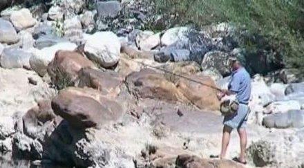 затягат примката бракониерите глобите скачат двойно предвижда затвор