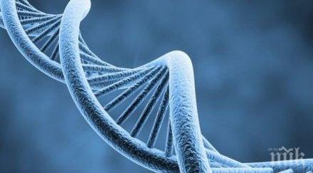 учени излекуваха жена терминален рак гърдата иновативно имунолечение