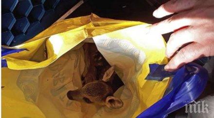 цинизъм опитаха продадат новородена сърничка пътя