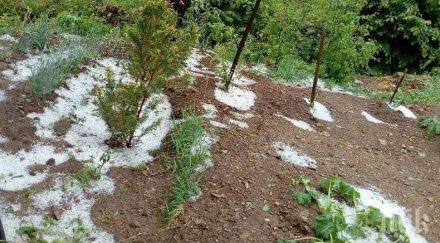 последните минути страшна градушка удари смолянско стихията помля селскостопанската продукция снимки