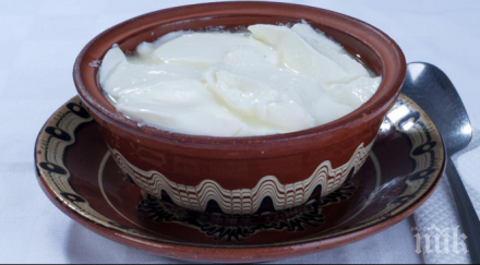 трън стяга празник киселото мляко