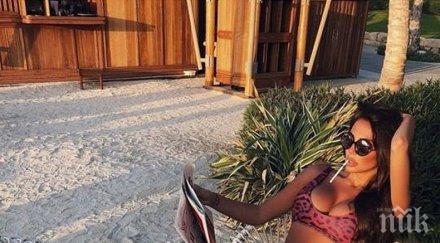 николета бетер маймуните увисна примат палмите снимки