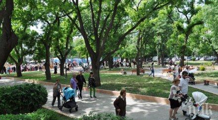 първо пик групова пешеходна петкилометрова разходка готвят борисовата градина