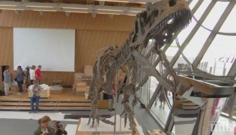 Ето за колко бе продаден скелет на динозавър във Франция