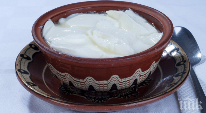 Трън стяга празник на киселото мляко