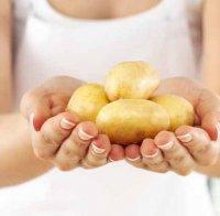 ШОК! Един печен картоф съдържа... 19 бучки захар