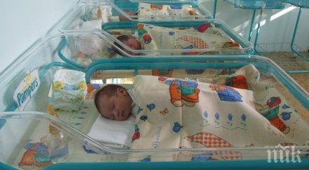511 бебета родили пловдивска област месец