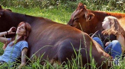 гладен народ 3000 лева заплата животновъд кандидати