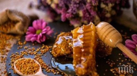 полезно пчелен прашец златни гранулки здраве