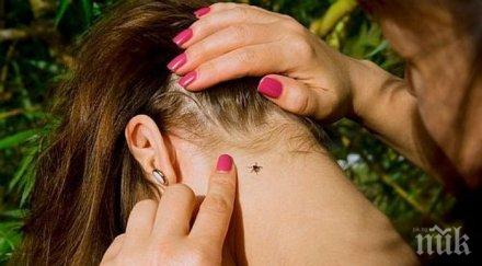 напаст увеличава броят ухапаните кърлежи пловдив