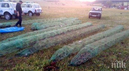 разкриха вила бракониери речни раци язовир батак