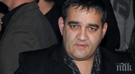 нова беля сполетя радо шишарката