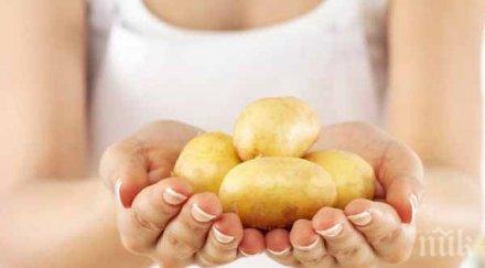 шок един печен картоф съдържа бучки захар