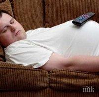 ТОВА Е ИСТИНАТА! Един на всеки петима млади българи нито учи, нито работи