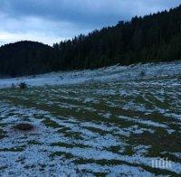 Градушка колкото орех унищожи насажденията в Девинско