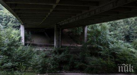 потресаващо осем момчета българия изнасилиха годишна германия